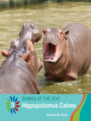 cover image of Hippopotamus Calves
